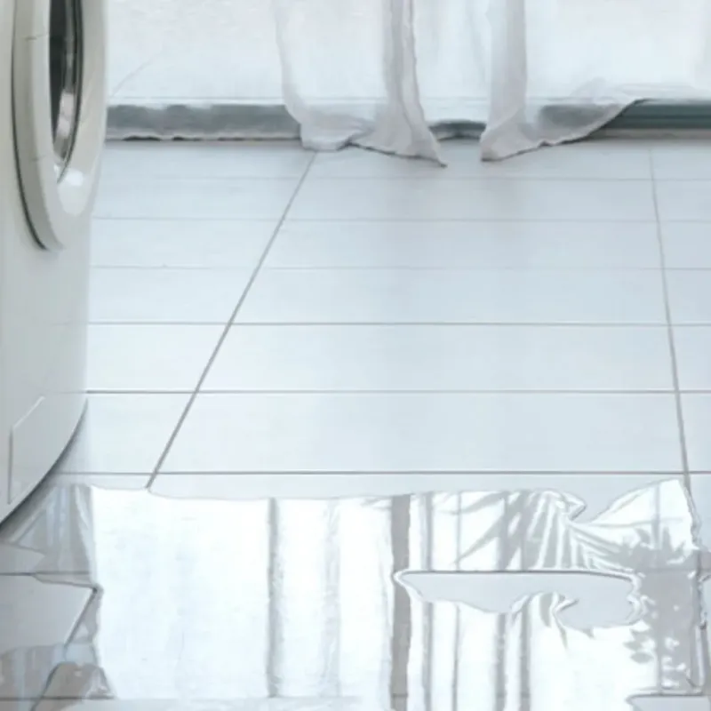 Appliance Leak Cleanup in The Plains, OH