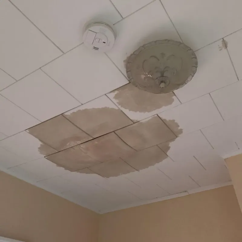 Ceiling Water Damage Repair in The Plains, OH