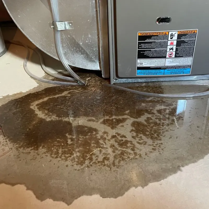 Pipe Burst and Leak Restoration in The Plains, OH